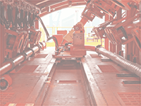 国内シェア「ナンバーワン」